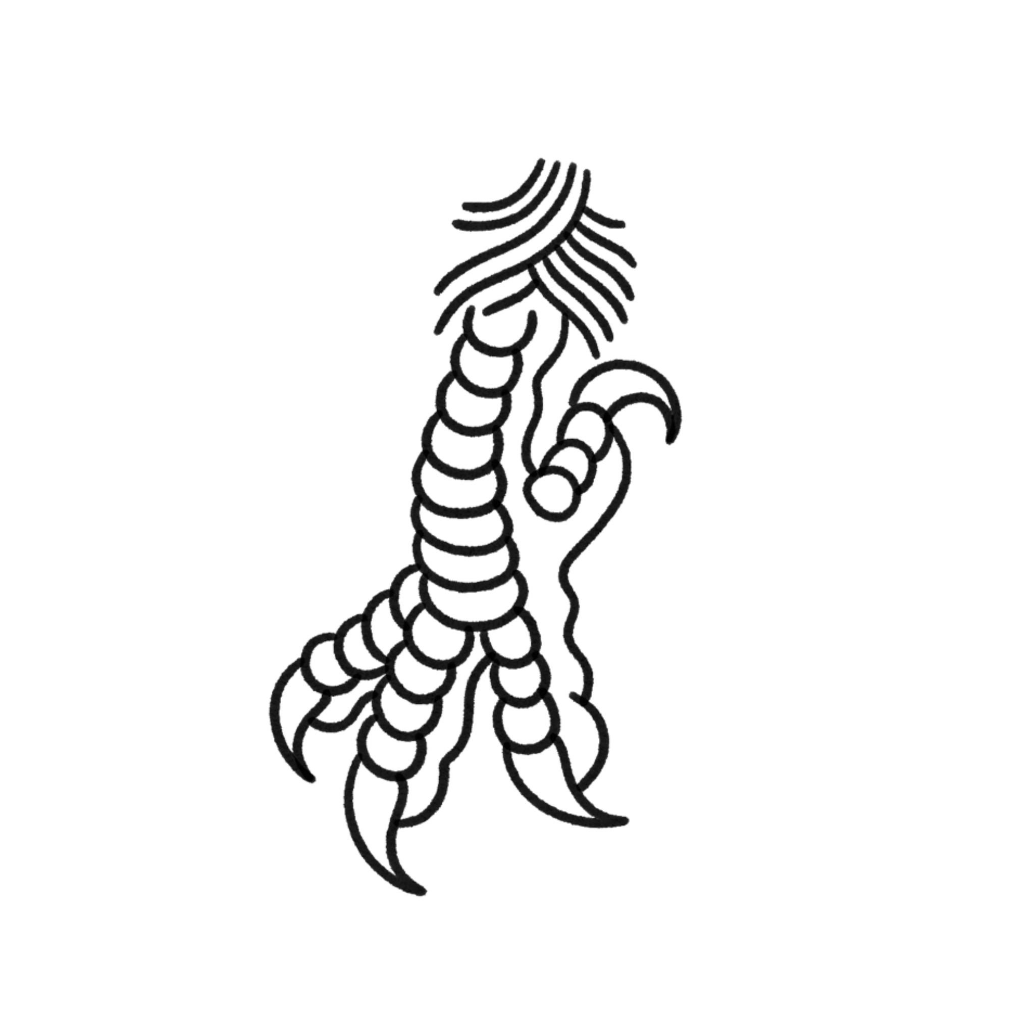 Patte D'aigle