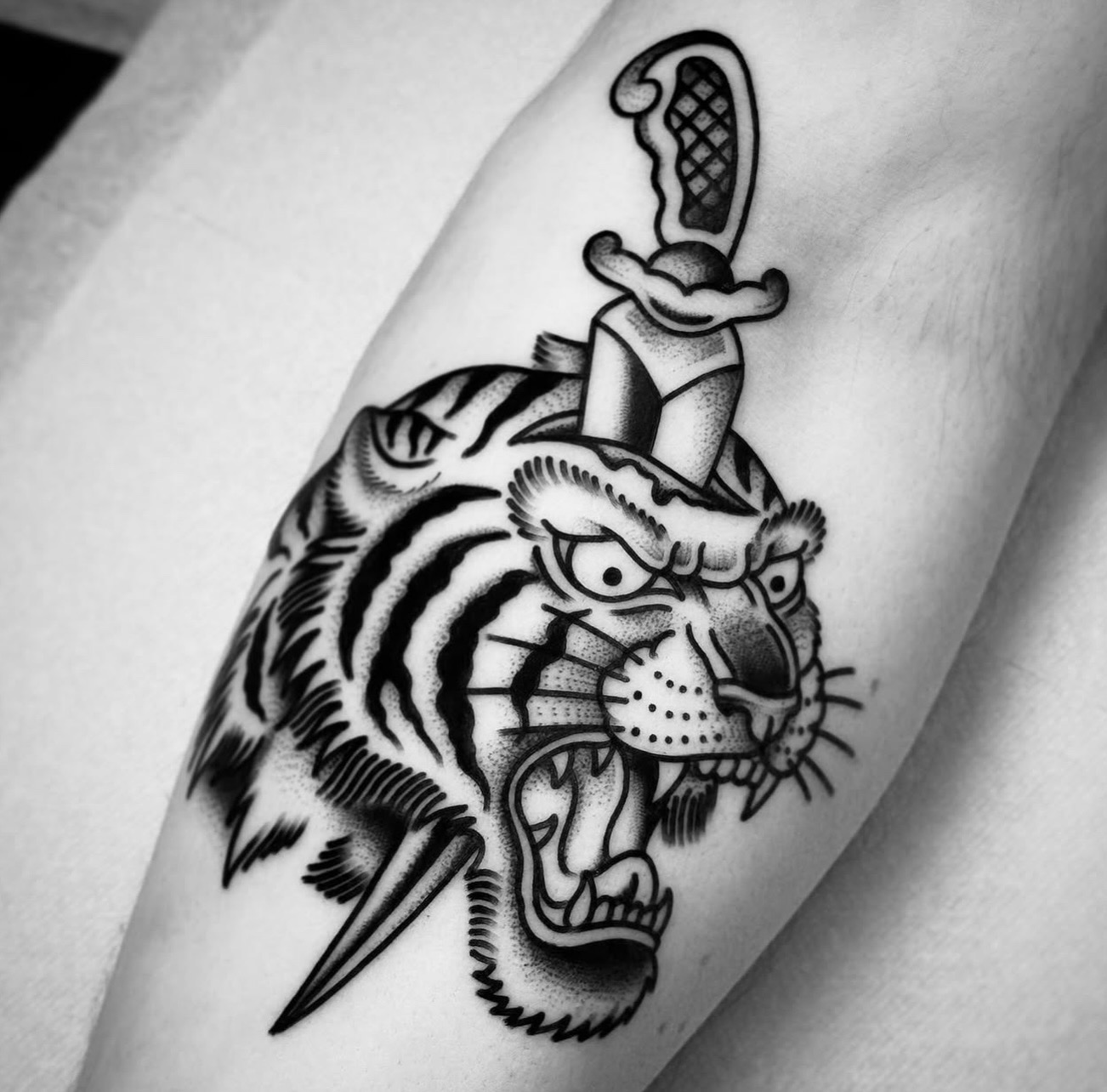 Tigre et dague